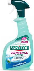 Sanytol Καθαριστικό Spray 500ml