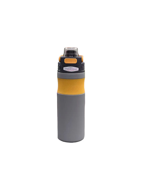 Water Bottle 650ml Gray