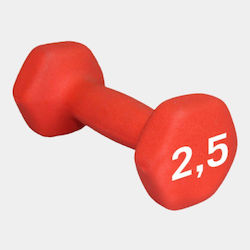 MotivationPro Βαράκι 1 x 2.5kg MotivationPro Βαράκι 1 x 2.5kg