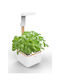 Veritable Autonomous Home Garden Botaneo Eylo Jar Plastic 17.5x18.5x46cm.