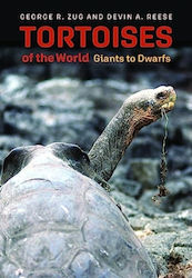 Tortoises Of The World