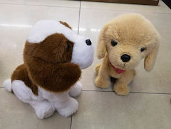 Adar Puppy for 3+ Years (Miscellaneous Designs)