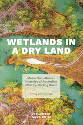 Wetlands In A Dry Land