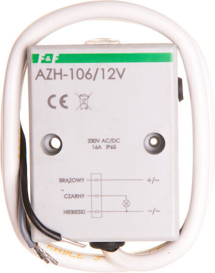F&F Διακόπτης Ισχύος Βιομηχανικού Τύπου AZH-106-12V