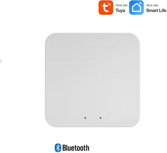 Tuya Gateway Smart Gateway Wi-Fi / Bluetooth
