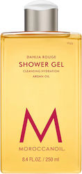 Moroccanoil Dahlia Rouge 250ml Moroccanoil Dahlia Rouge 250ml