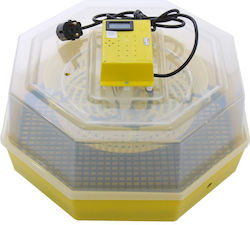 Ertone Incubator Manuală Pentru 60 Ouă Ertone Incubator Manuală Pentru 60 Ouă