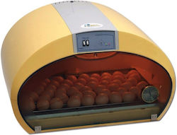 Fiem Egg Incubator