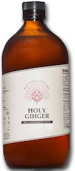 Holy Ginger Сироп за коктейли с вкус на Мед 750мл