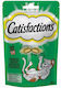 Catisfactions Catnip 60gr