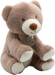 Bear 18cm Organic Cotton