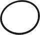 Oil Filter Seal