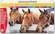 Set de creioane colorate metalice 36 bucăți N514836 Eberhard Faber 4087205148368