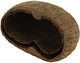 Ceramic Nature Palm Pods