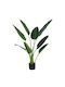 Inart Arbore Artificial pentru Exterior Palmier Palm Tree Green 120cm 1buc