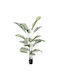 Inart Plantă Artificială în Ghiveci Palmier Areca Areca Iii Green 180cm 1buc