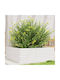 vidaXL Planter Box 70x23cm White 847194