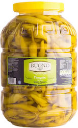 Pickle 4750gr