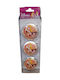 Ornament suspendat Glob Sleeping Beauty & Belle 7.5buc Set 3buc