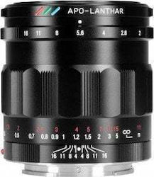 Voigtlander APO-LANTHAR 50mm f/2 Aspherical Voller Rahmen für Sony E Mount