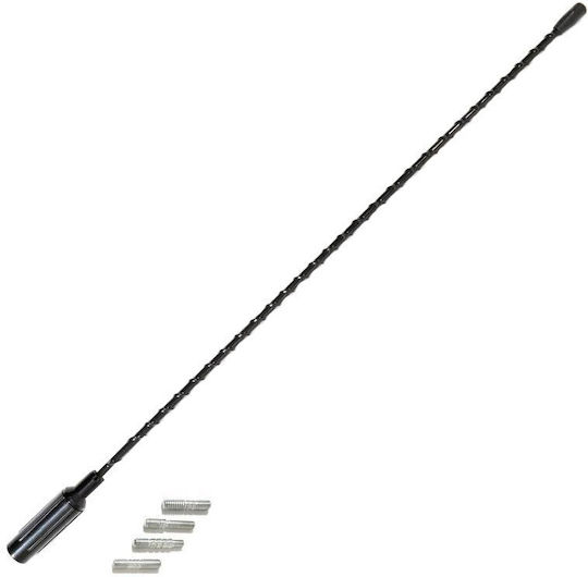 Compass KFZ-Antenne Dach Mit Gewinde für Radio