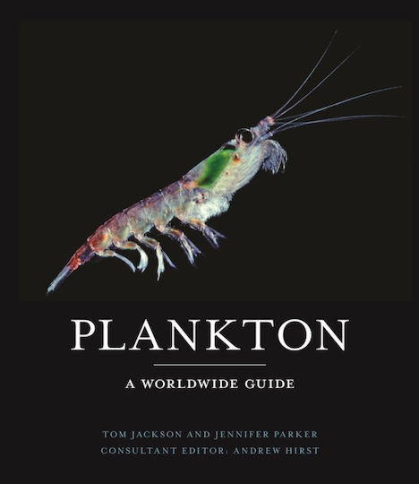 Plankton Plankton