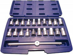 Satra Set of Walnut Taps Oil 21 pcs
