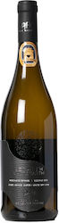 DAF Wines White Earth Alb Șampon uscat 750ml DAF Wines White Earth Alb Șampon uscat 750ml