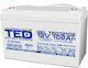 TED Electric Baterie UPS cu Capacitate 102Ah și Tensiune 12V A0058592 1buc