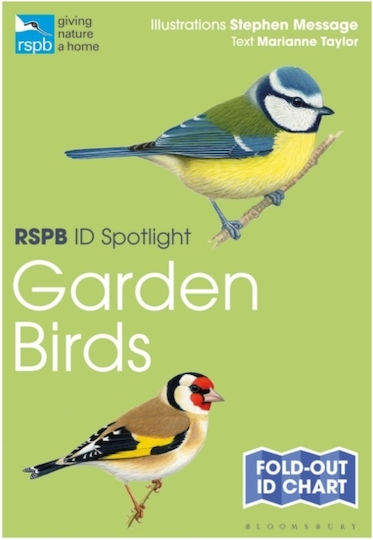 Rspb Id Spotlight – Garden Birds - Rspb Id Spotlight – Garden Birds -