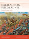 Catalaunian Fields Ad 451