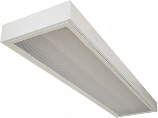 DIL Fluorescent Ceiling Light with 2 Light Bulb Places T8 Shape for G13 Base L61xH7.5cm