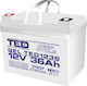 TED Electric Baterie UPS cu Capacitate 36Ah și Tensiune 12V A0058590 1buc