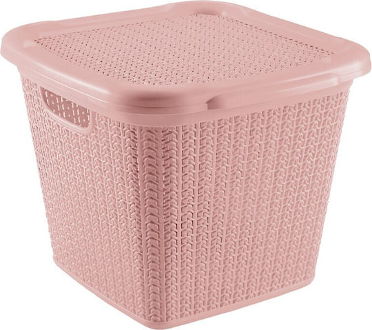 Viosarp Kunststoff Aufbewahrungsbox mit Deckel Rosa 30x30x27.5cm 1Stück