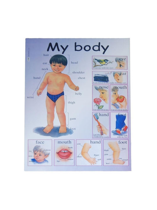 Next Educațional Afiș pentru Copii My Body 50x70buc 3 buc