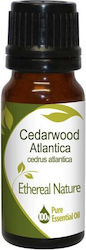 Cedarwood Atlas Essential Oil 10ml