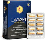 Lavivant Korean Fermented Red Ginseng 300mg 30 veg. caps