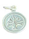 Charm Brad cu Zirconiu