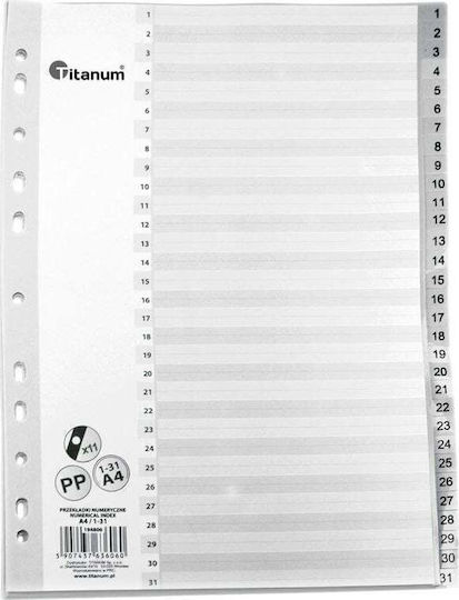 Titanum Ordner Transparent für Papier A4 Gray