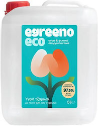 Egreeno Cleaning Liquid for Windows 5lt Egreeno Cleaning Liquid for Windows 5lt