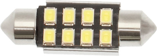 Лампи Автомобила C5W Canbus LED 6000К Хладно бяло 12V 3W 1бр