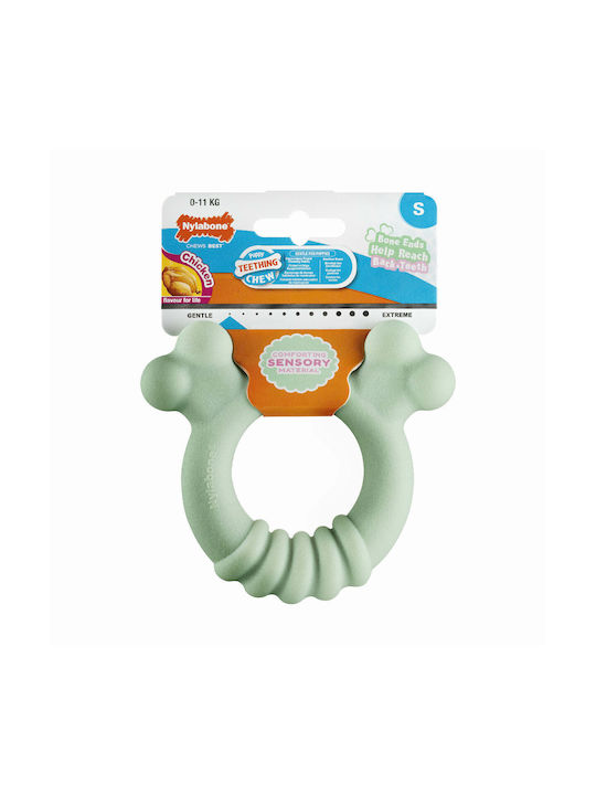 Nylabone Εκπαιδευτικό Παιχνίδι για Κουτάβι Small Πράσινο 1τμχ
