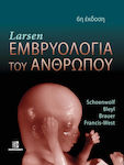 Larsen Human Embryology 6th Edition