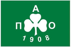 Steagul Panathinaikos Poliester cu mâner lung 135x90cm