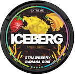 Iceberg Chewing gum 20pcs