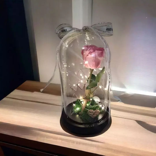 Eternal Rose 25cm in Yala