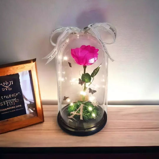 Eternal Rose 25cm in Yala