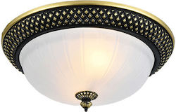 Led7 Ceiling Light Bathroom Led7 Ceiling Light Bathroom