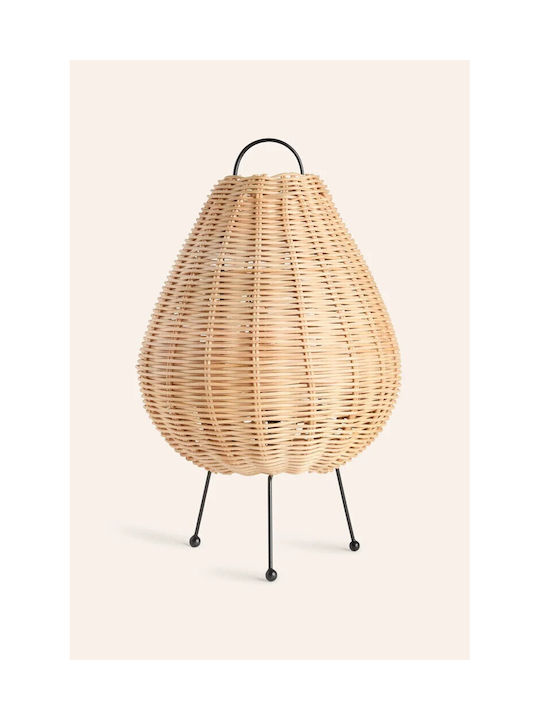 Calma House Table Decorative Lamp