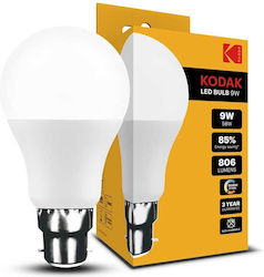 Kodak LED Bulbs for Socket B22 and Shape A60 Warm White 806lm 1pcs